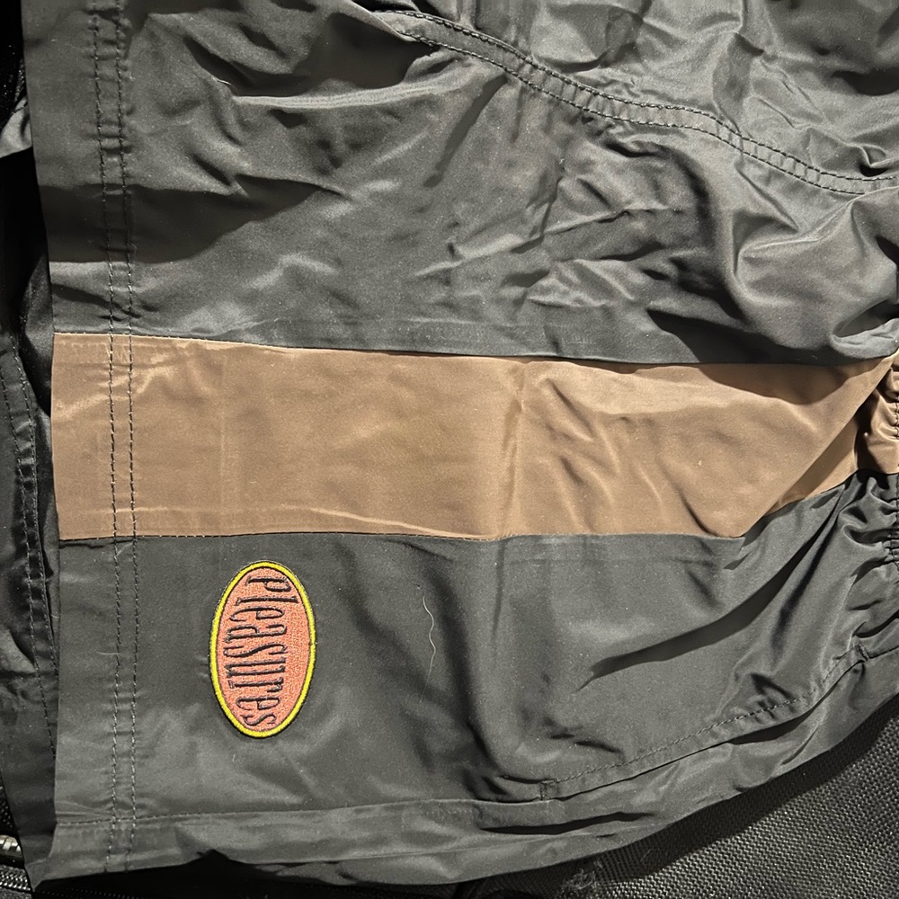 Pleasures Shorts